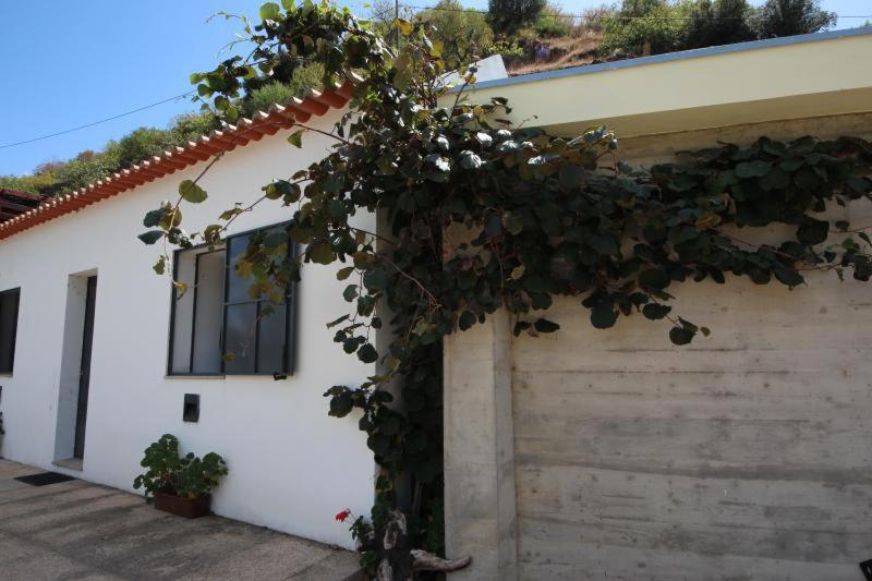 Douro Yacht Charter & Bungalows São João da Pesqueira Exteriér fotografie