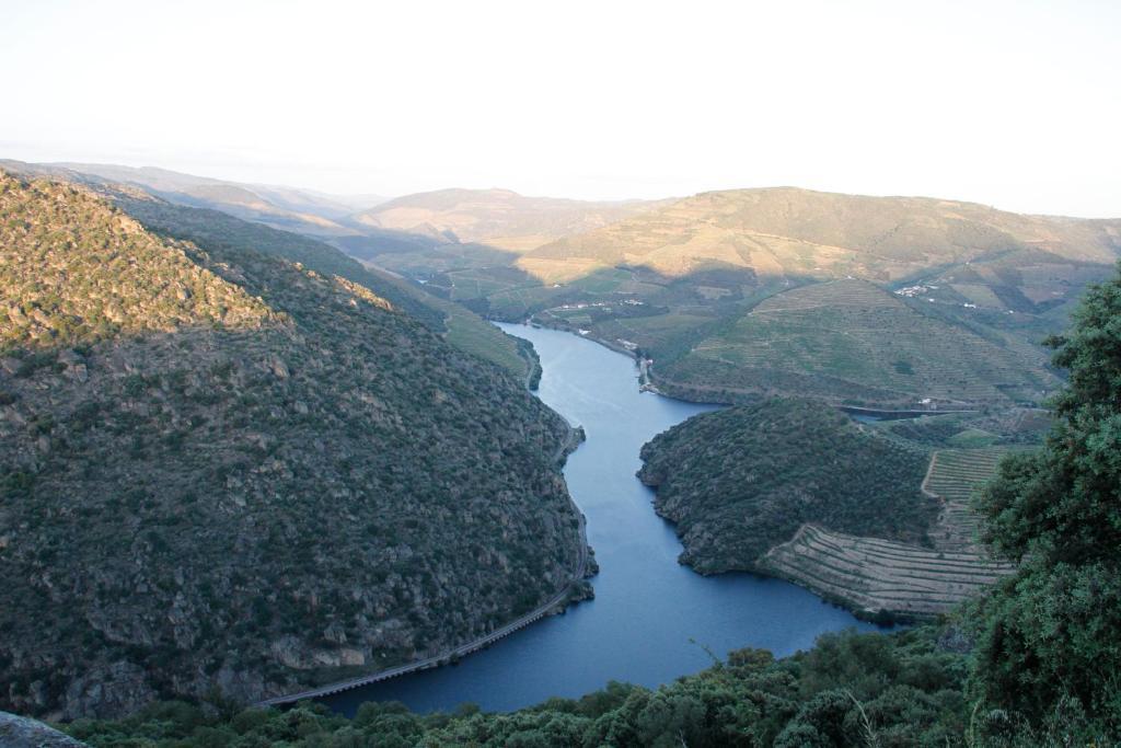 Douro Yacht Charter & Bungalows São João da Pesqueira Exteriér fotografie
