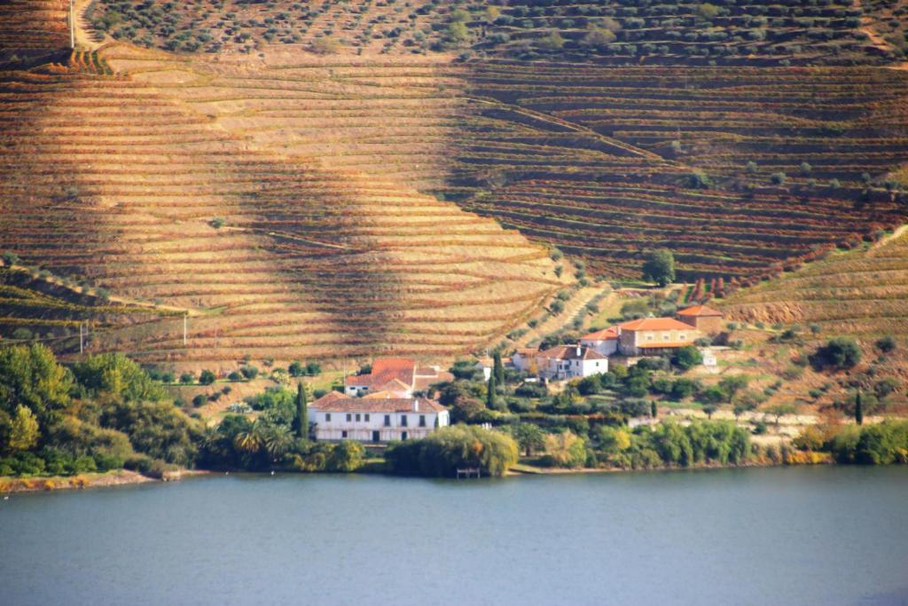 Douro Yacht Charter & Bungalows São João da Pesqueira Exteriér fotografie