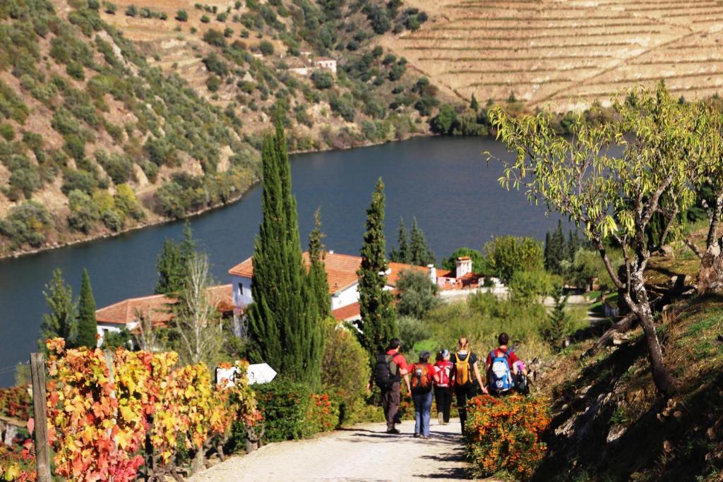 Douro Yacht Charter & Bungalows São João da Pesqueira Exteriér fotografie