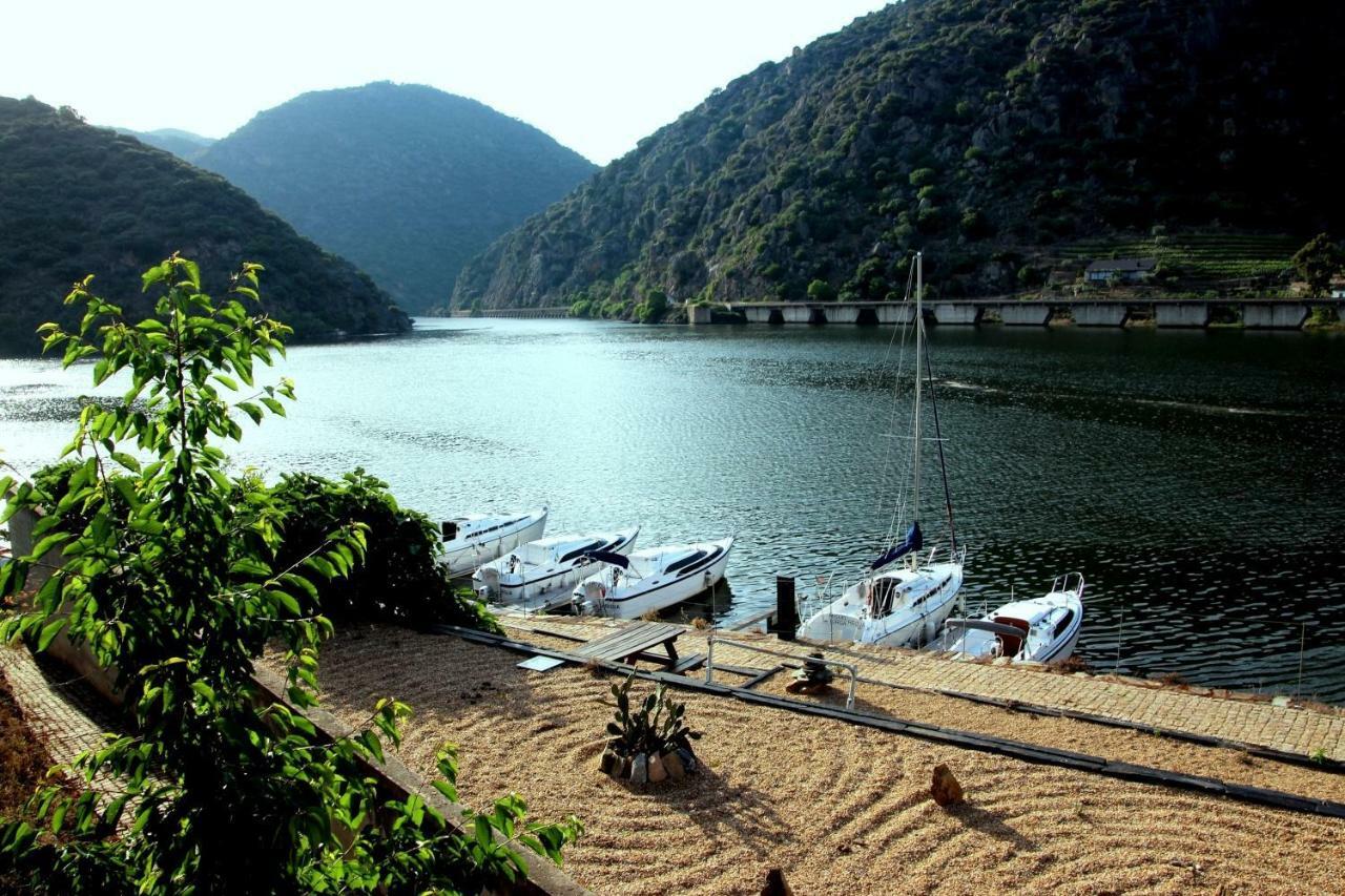 Douro Yacht Charter & Bungalows São João da Pesqueira Exteriér fotografie